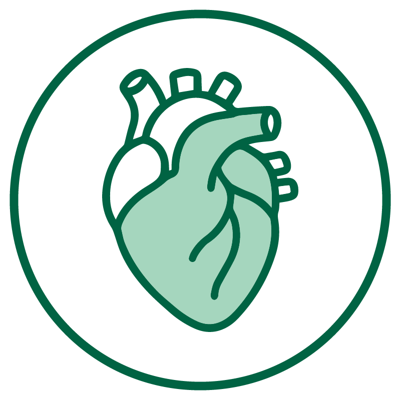 Collection&#39;s name