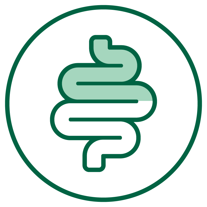 Collection&#39;s name