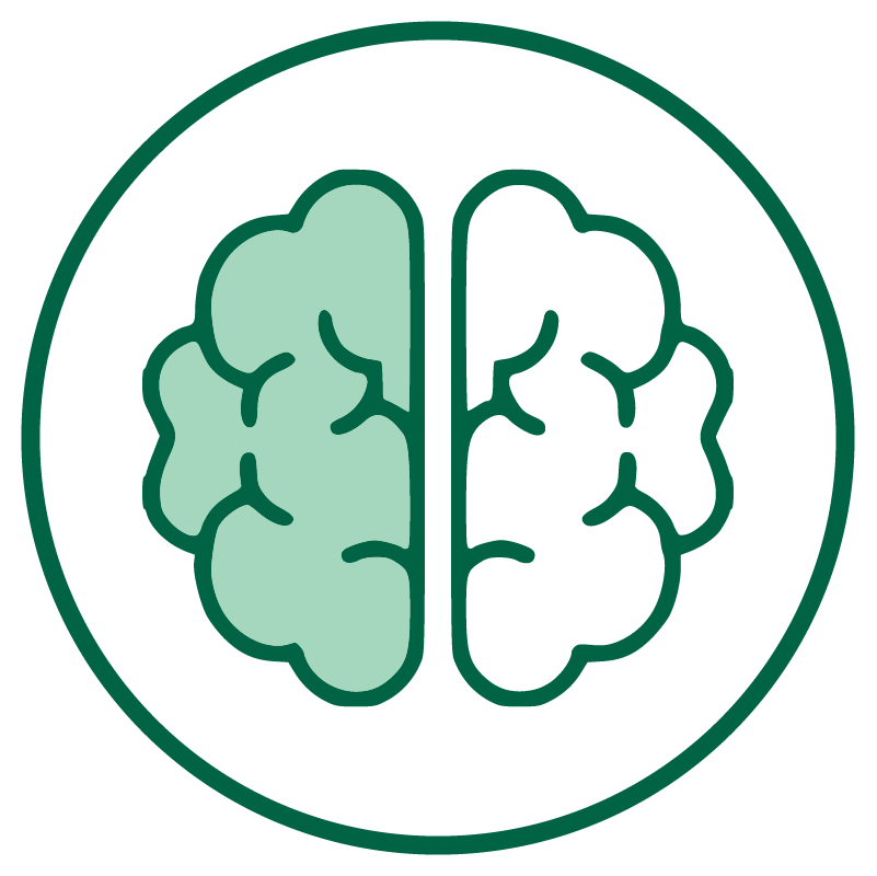 Collection&#39;s name