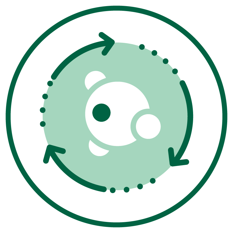 Collection&#39;s name