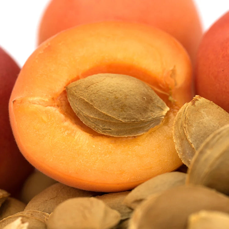 Garden of Wellness Malaysia