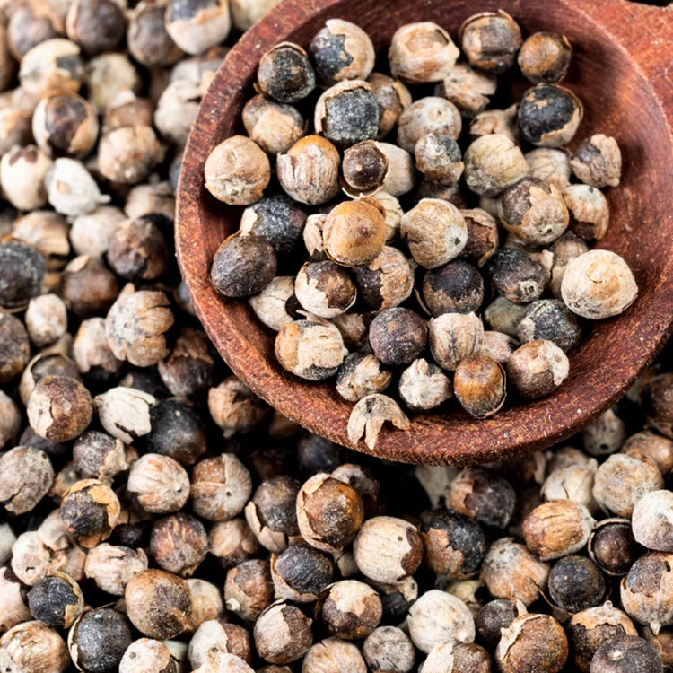 Garden of Wellness Malaysia