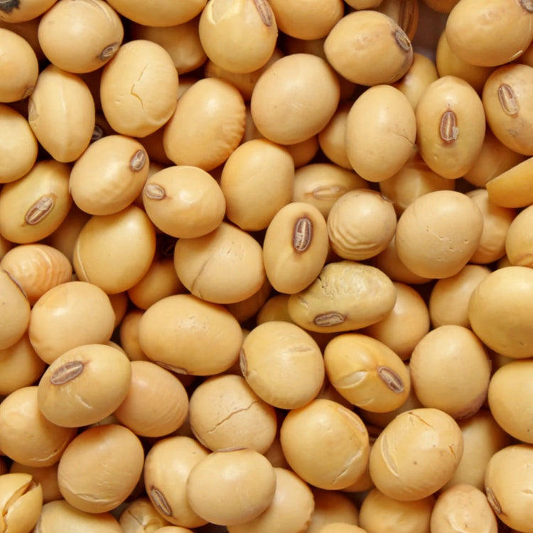 Garden of Wellness Malaysia