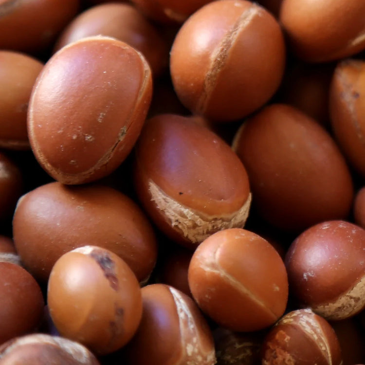 Garden of Wellness Malaysia