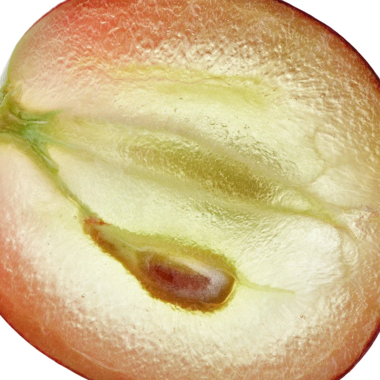 Garden of Wellness Malaysia