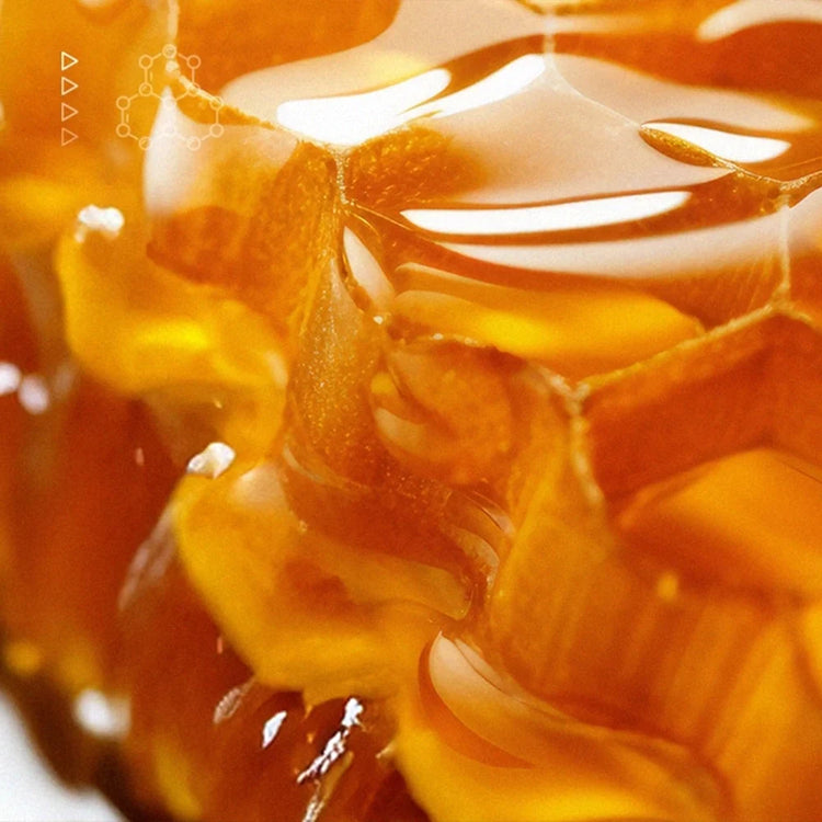 Garden of Wellness Malaysia