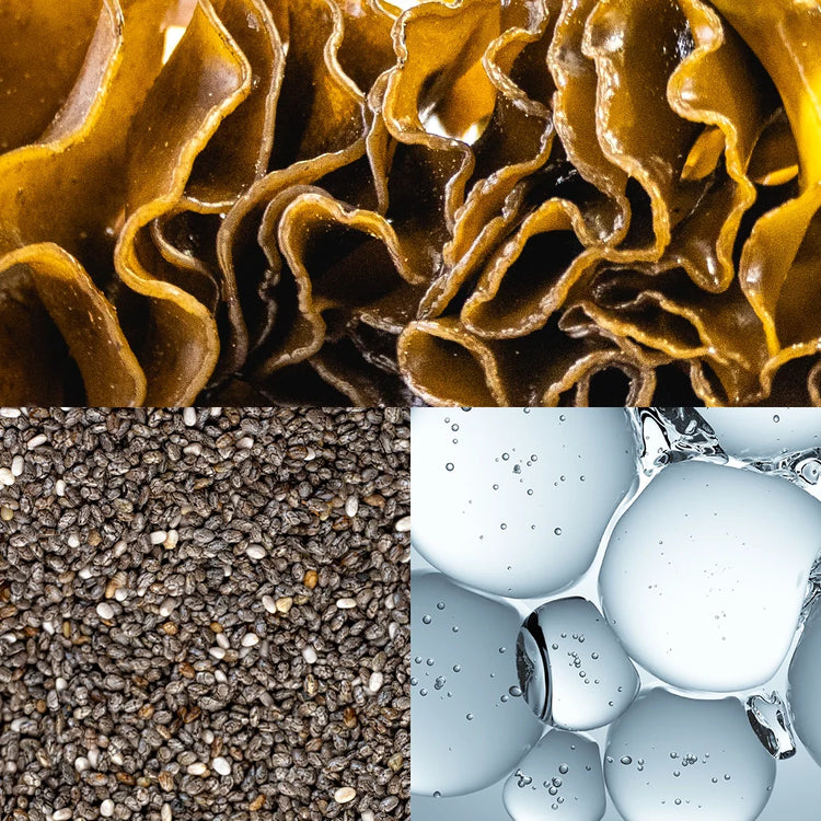 Garden of Wellness Malaysia