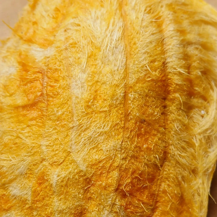 Garden of Wellness Malaysia