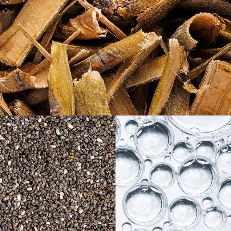 Garden of Wellness Malaysia